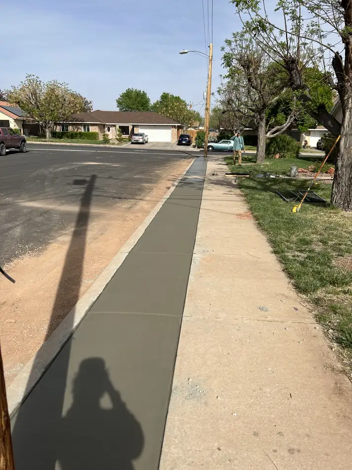 Low-Maintenance Concrete Park Strip project photograph