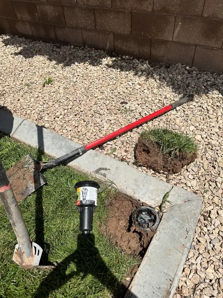 Drip Maintenance & Sprinkler Head Replacement project photograph