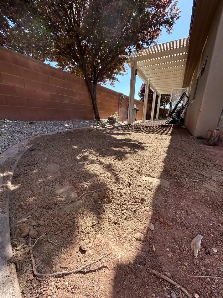 Before — old lawn removed