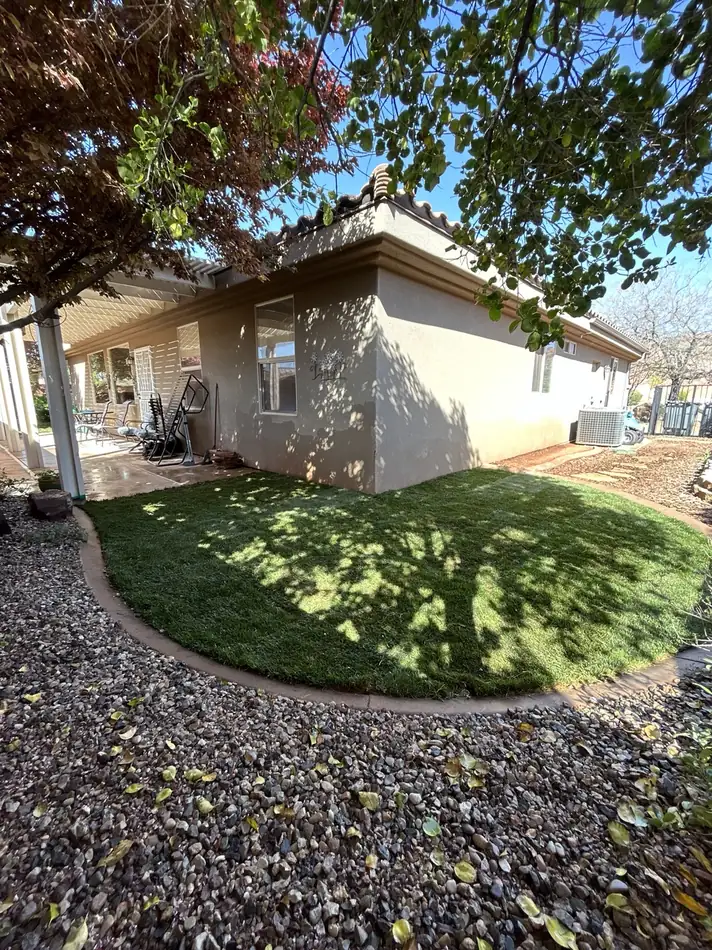 Shaded backyard with new green shade-tolerant sod